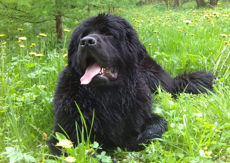 Фотография № 153323