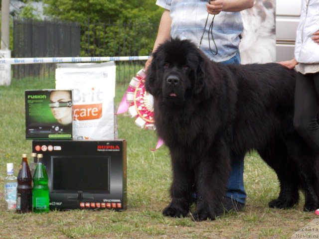 Фотография № 153467