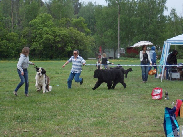 Фотография № 153475