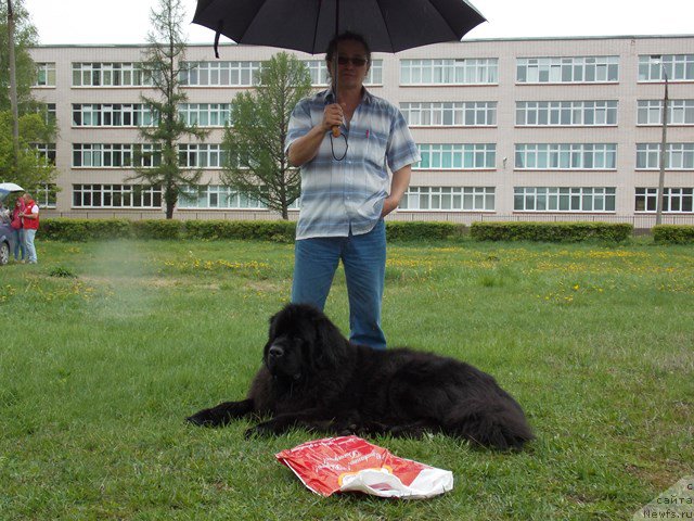 Фотография № 153476