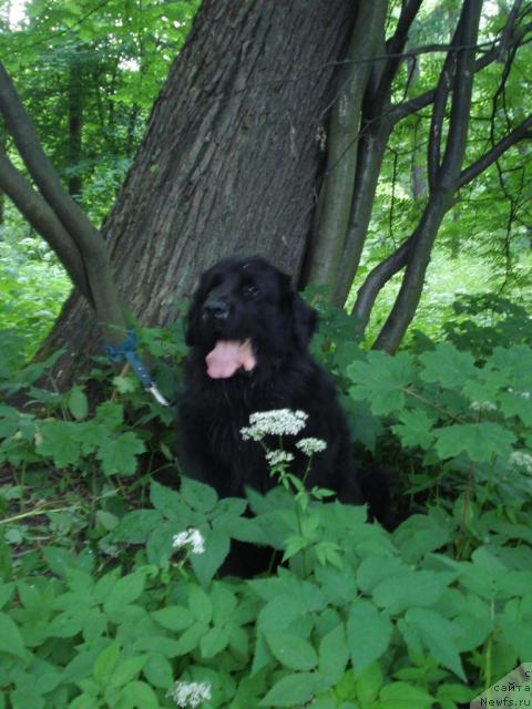 Фотография № 15349