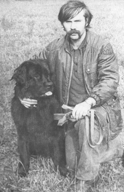 Фото: ньюфаундленд Madji Voland (Маджи Воланд)