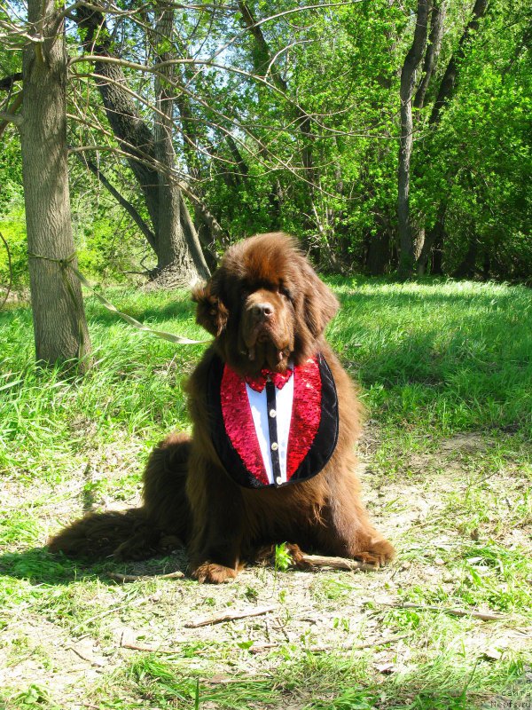 Фотография № 153515