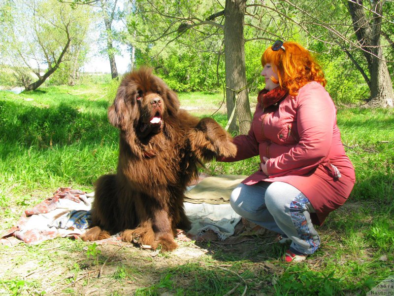 Фотография № 153517