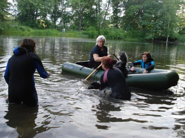 Фото: Kseniya Semikova (Ксения Семикова), Ekaterina Kormakova (Екатерина Кормакова), Galina Saryicheva (Галина Сарычева), Ol'ga Koroleva (Ольга Королева), ньюфаундленд Skippers Only You for Smigar