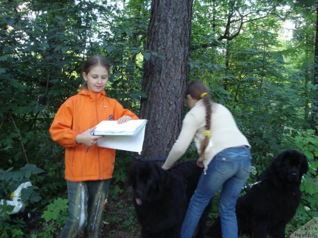 Фото: ньюфаундленд Usatyiy Nyan' Timosha (Усатый Нянь Тимоша), ньюфаундленд Drive Me Crazy of Apachee's Home, Алина и Настюша