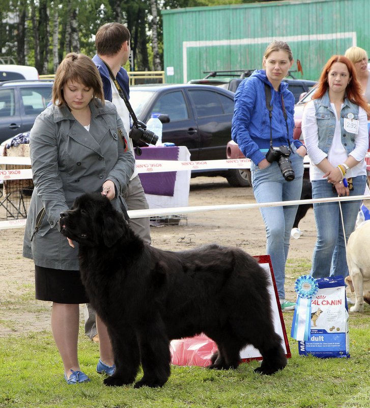 Фотография № 153575