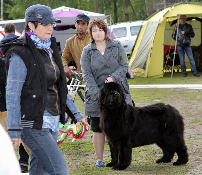 Фотография № 153576