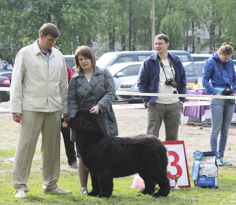 Фотография № 153577