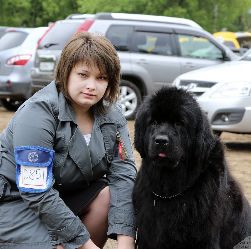 Фотография № 153581