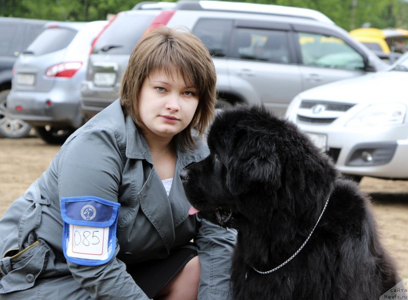 Фотография № 153582