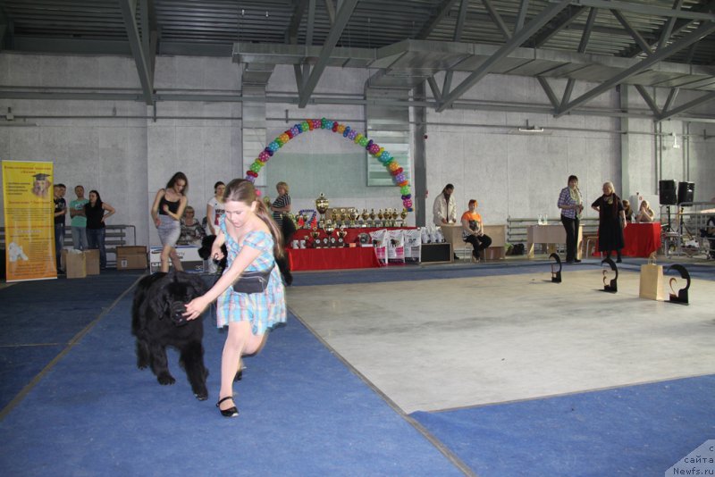 Фотография № 153586