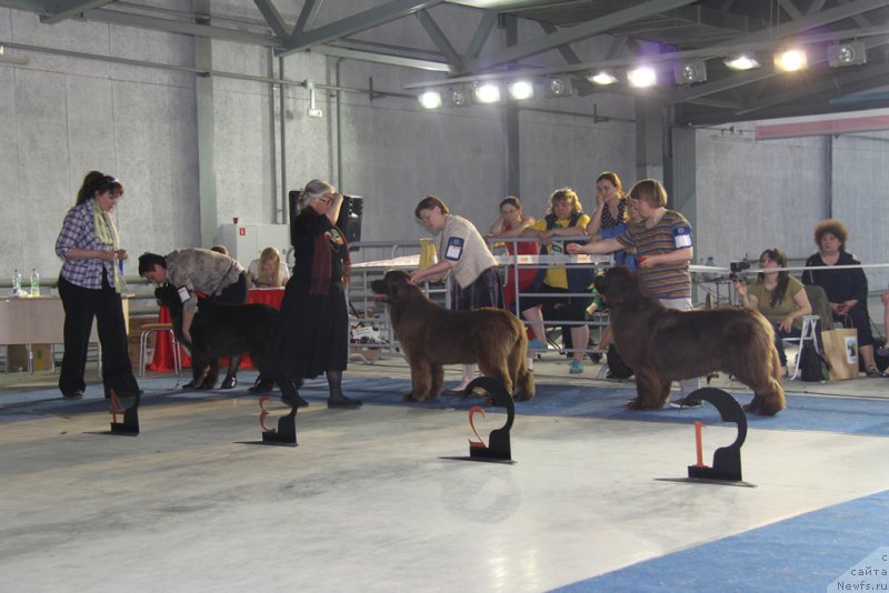 Фотография № 153587