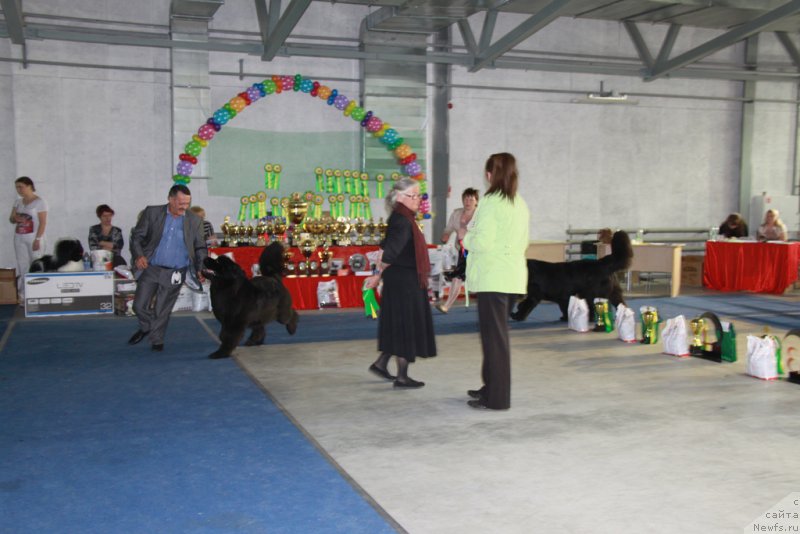 Фотография № 153591