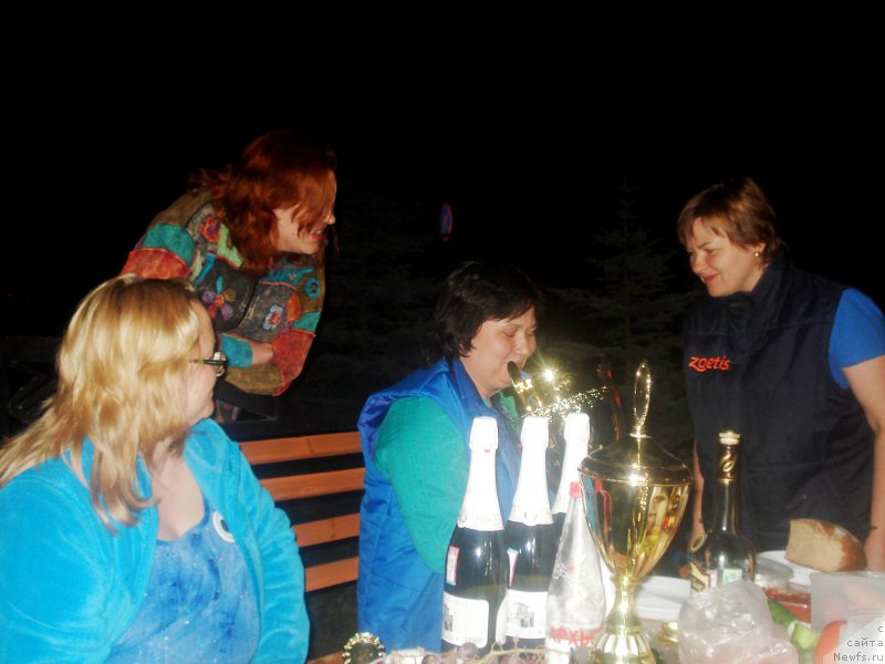 Фотография № 153602