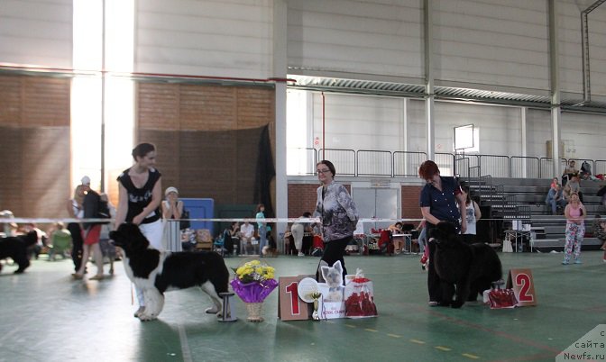 Фотография № 153613