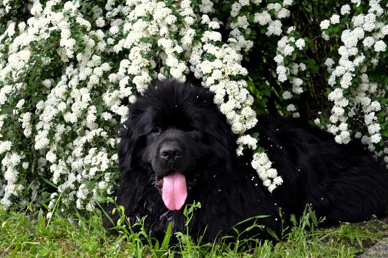 Фотография № 153624