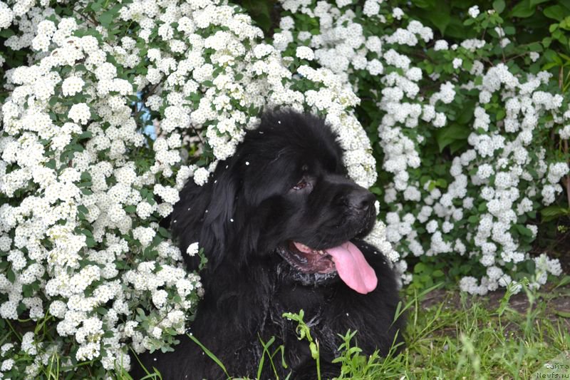 Фотография № 153625