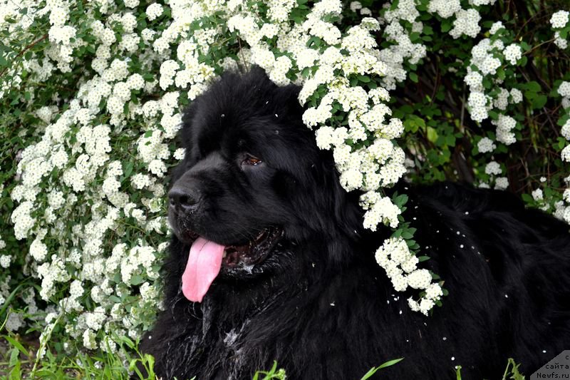 Фотография № 153626