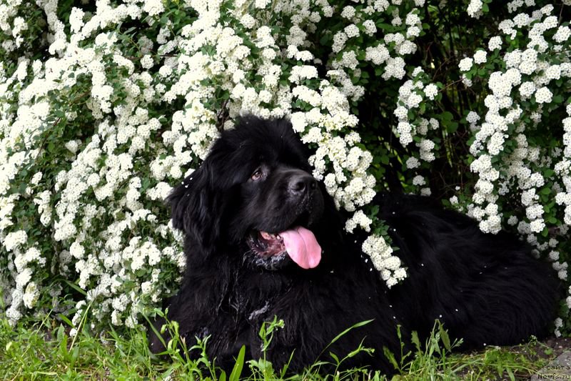 Фотография № 153628