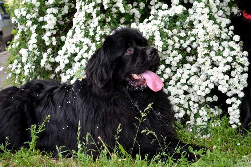 Фотография № 153629