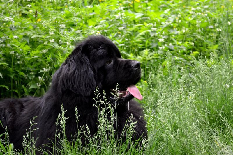 Фотография № 153630