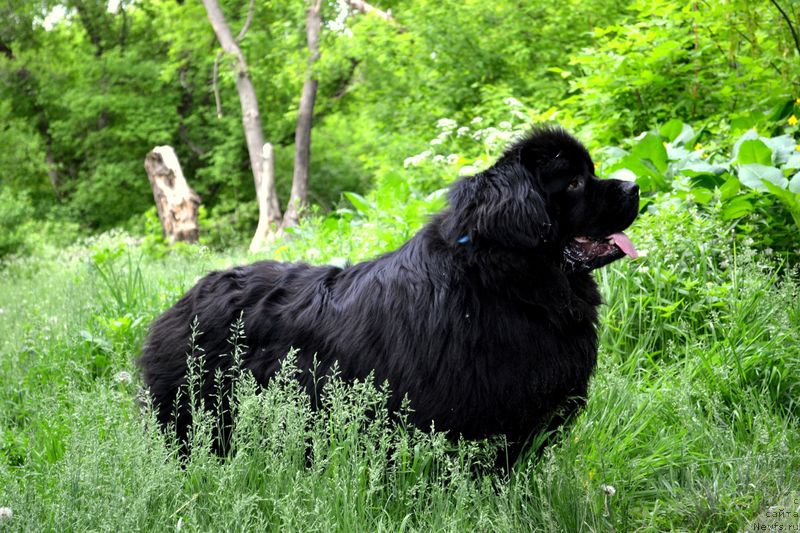 Фотография № 153631