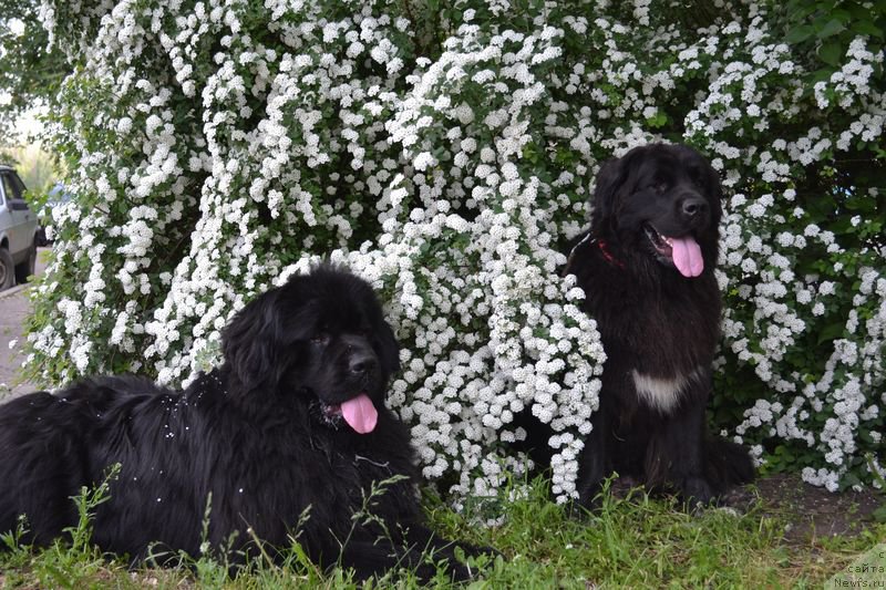 Фотография № 153637