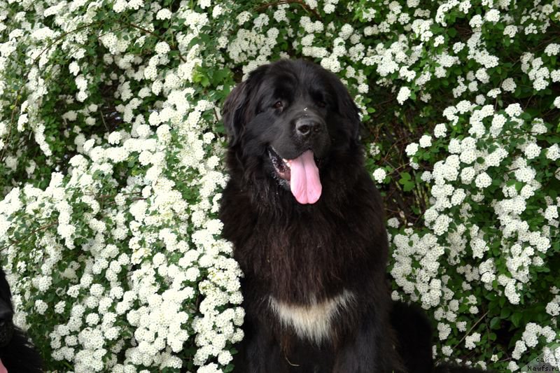 Фотография № 153638