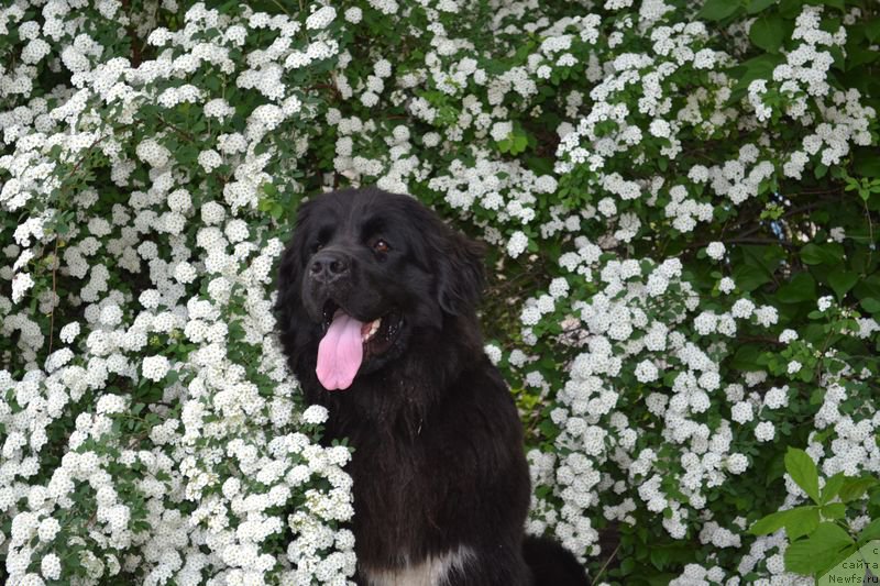 Фотография № 153639