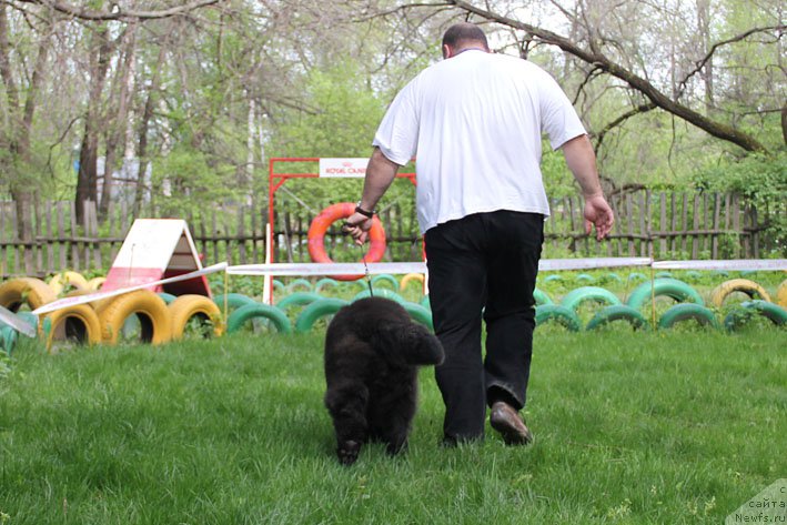 Фотография № 153667