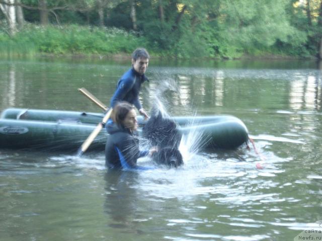 Фото: Валя, Kseniya Semikova (Ксения Семикова), ньюфаундленд Drive Me Crazy of Apachee's Home