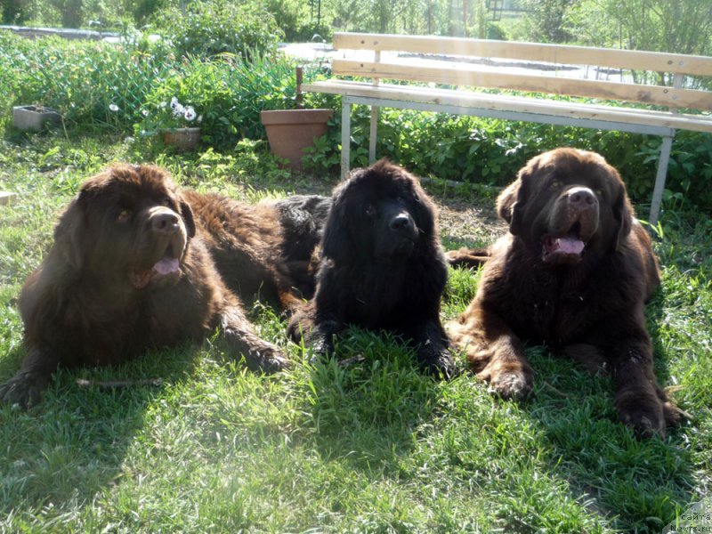 Фотография № 153676