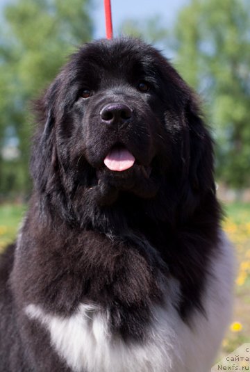 Фотография № 153681