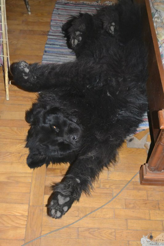 Фотография № 153690