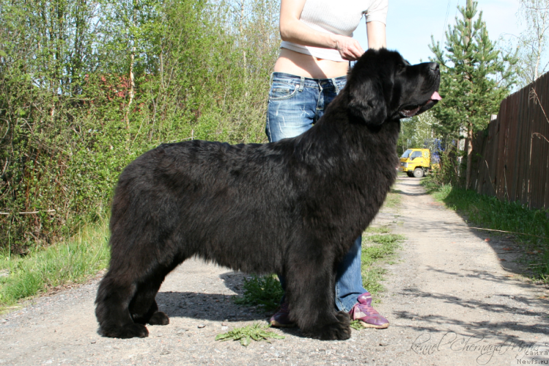 Фотография № 153734