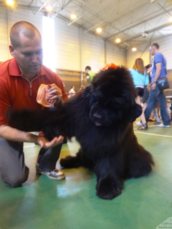 Фотография № 153781