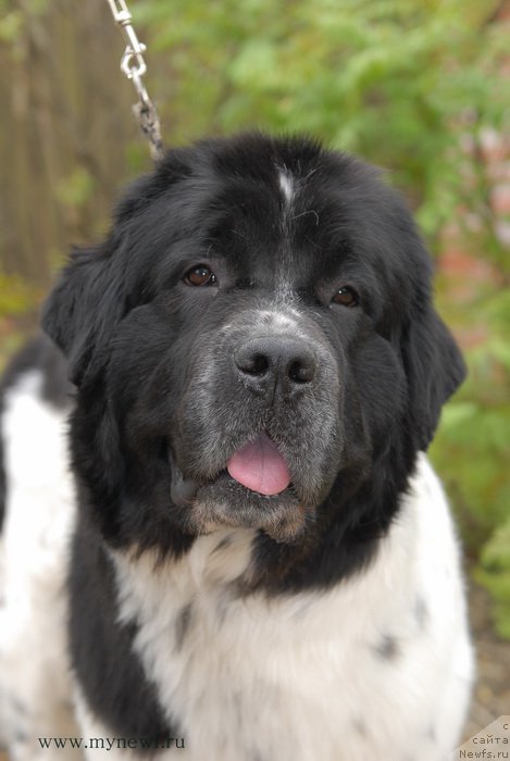 Фотография № 153853