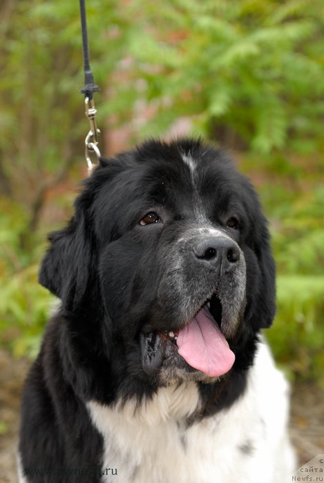 Фотография № 153856