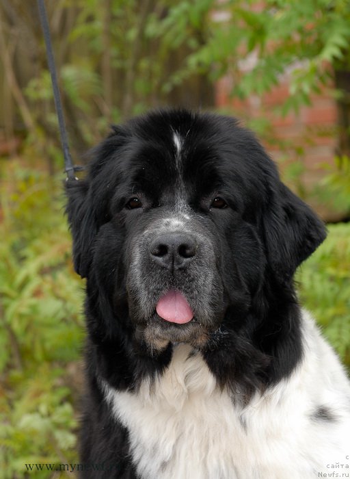 Фотография № 153857