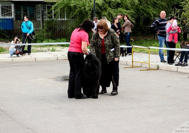 Фотография № 153874