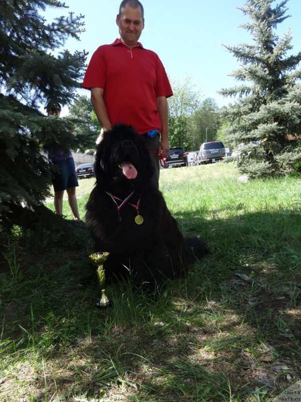 Фотография № 153879