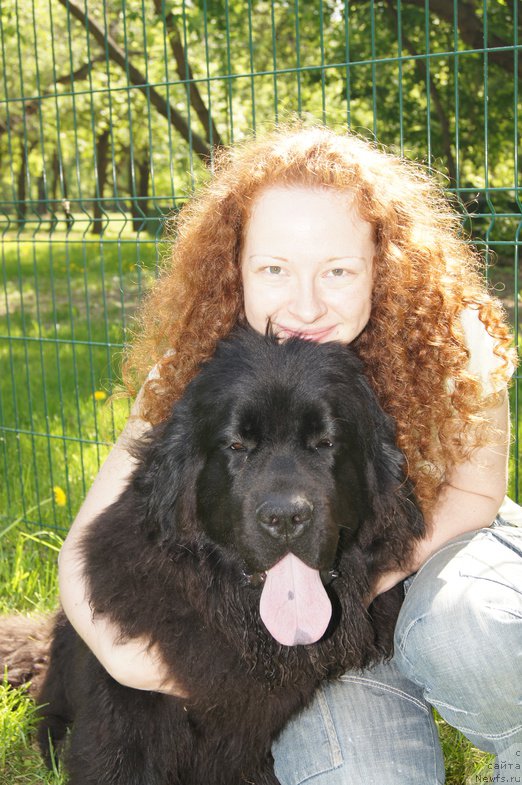 Фото: ньюфаундленд Sent Djons Jozayya Valeri (Сент Джонс Жозайя Валери)