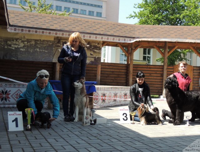 Фотография № 153898