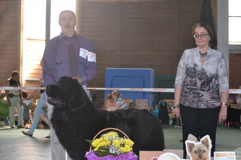 Фотография № 153916