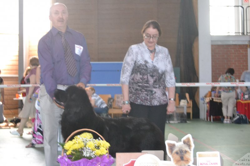 Фотография № 153917