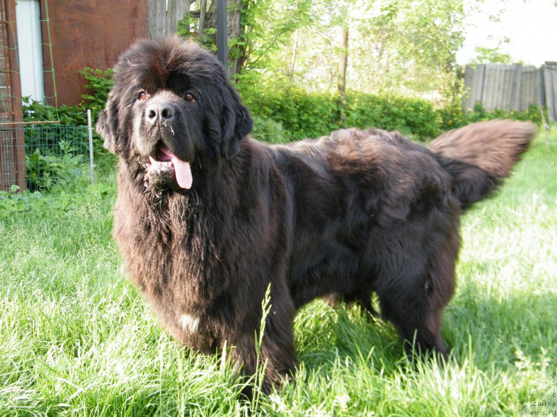 Фотография № 153932