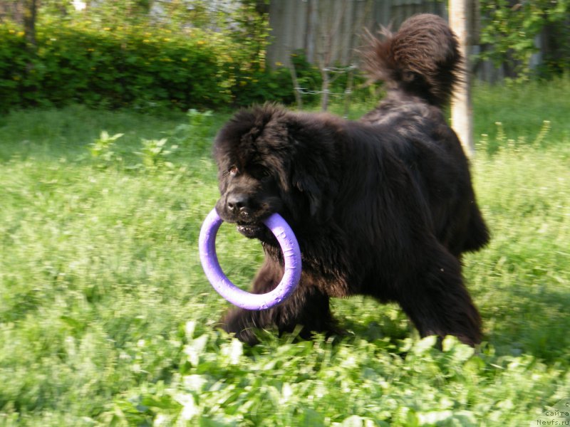 Фотография № 153935