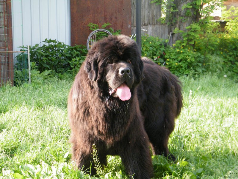 Фотография № 153937