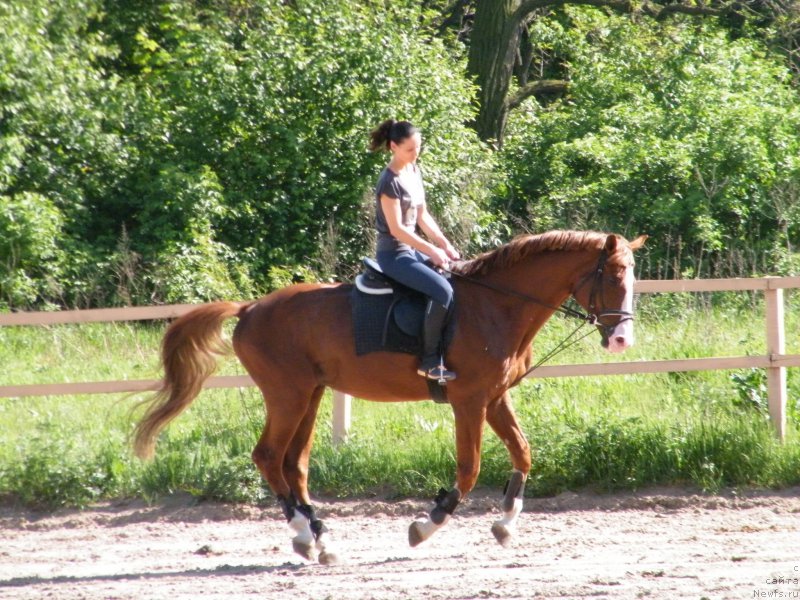 Фотография № 153939